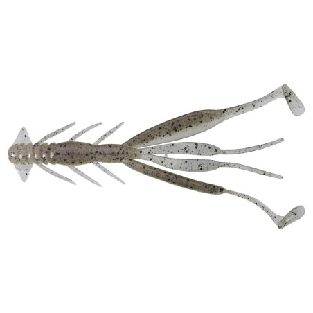 EATING STRIPED SHRIMP