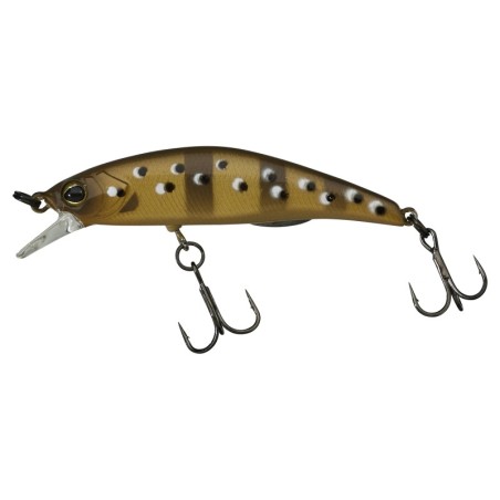 NATIVE TROUT