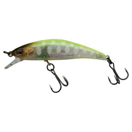 CHART TROUT