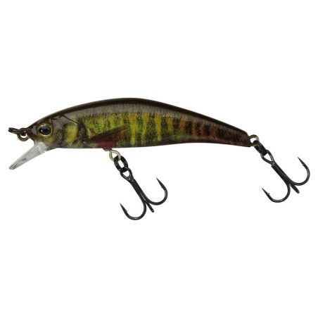 RT SPAWN MINNOW