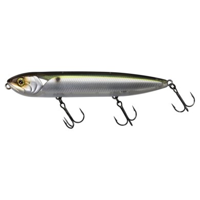 SG THREADFIN SHAD
