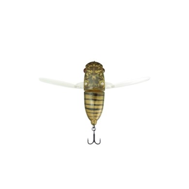 LAKE HIBARA SPRING CICADA