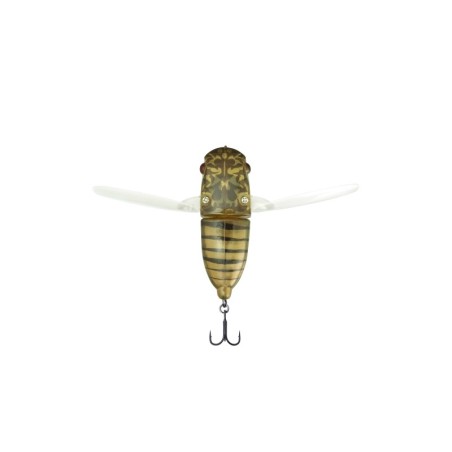 LAKE HIBARA SPRING CICADA
