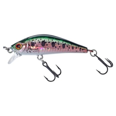 HL Trucha arco iris
