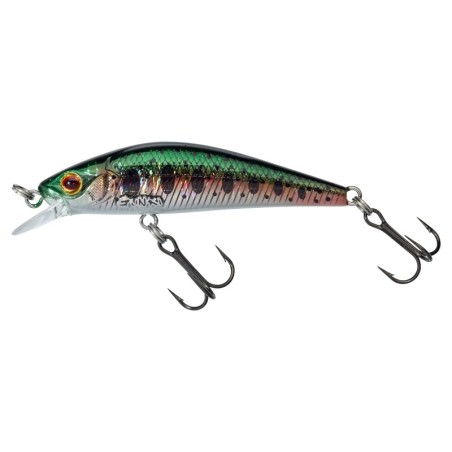 HL Rainbow Trout