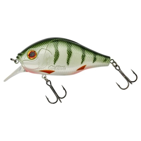 Green Perch