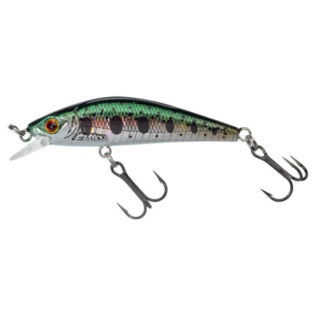 HL Rainbow Trout