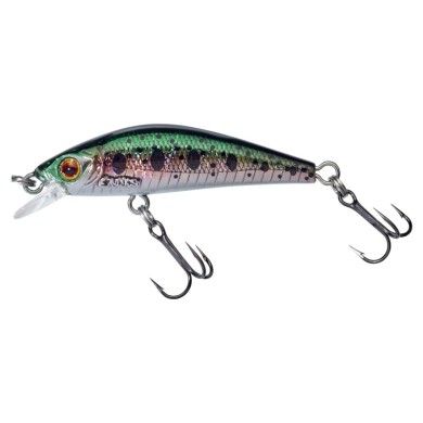 HL Rainbow Trout