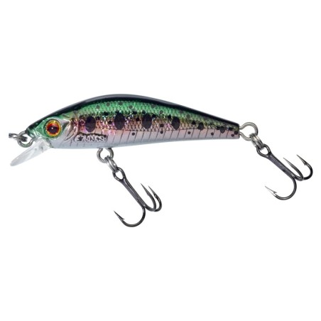 HL Rainbow Trout