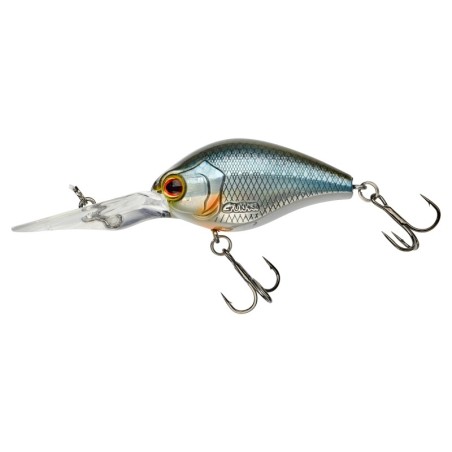 Roach Tendance
