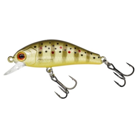 WILD TROUT