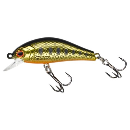 ACID TROUT GOLD