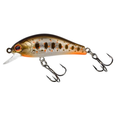 ORANGE TAG TROUT