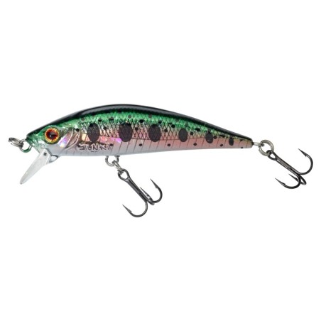 HL Rainbow Trout