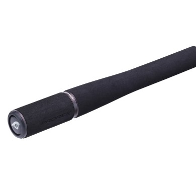 Daiwa Prorex AGS Spinning