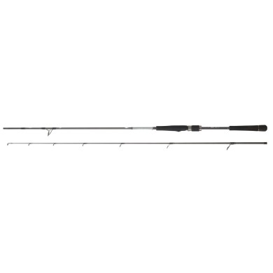 Daiwa Saltist Seabass
