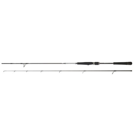 Daiwa Saltist Seabass