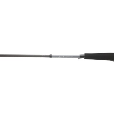 Daiwa Saltist Seabass