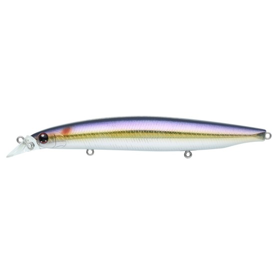 Daiwa Shoreline Shiner Z Vertice R 125S
