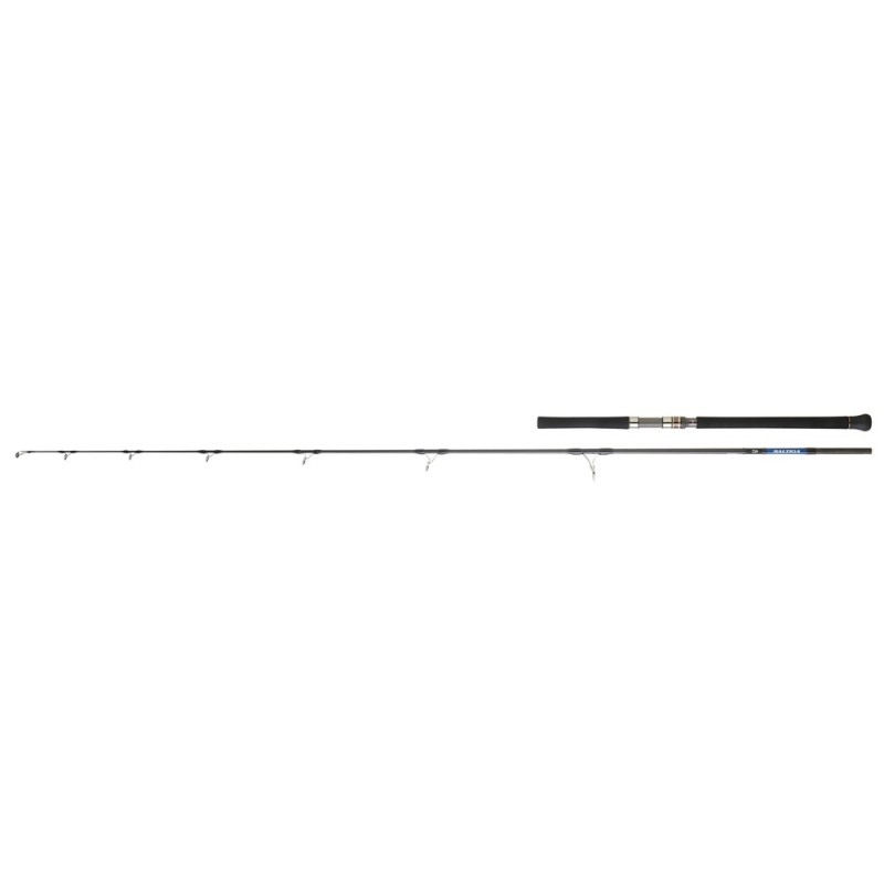 Daiwa Saltga Rods [EXO]