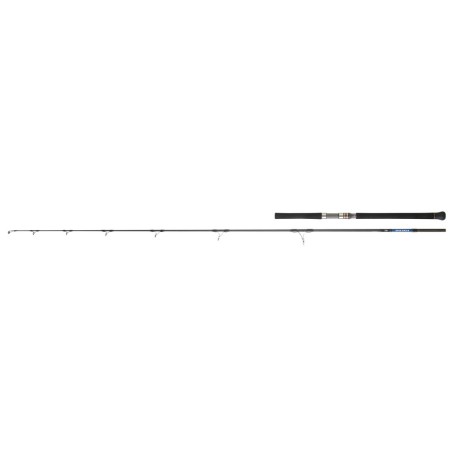 Daiwa Saltga Rods [EXO]