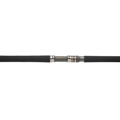 Daiwa Saltga Rods [EXO]