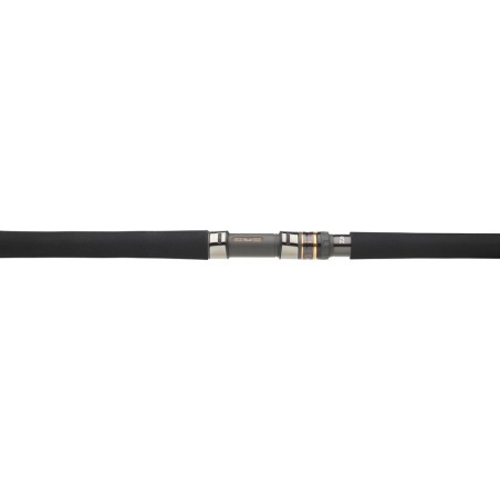 Daiwa Saltga Rods [EXO]