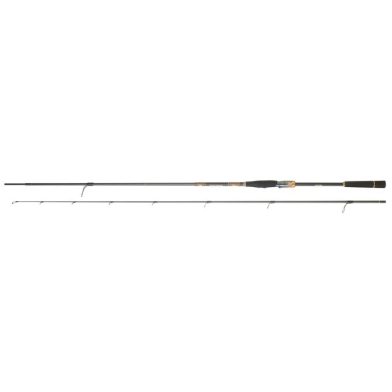 Daiwa Morethan Branzino Expert AGS