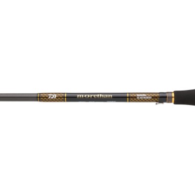 Daiwa Morethan Branzino Expert AGS
