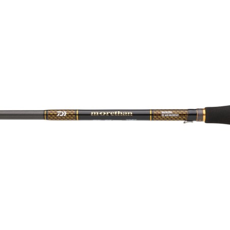 Daiwa Morethan Branzino Expert AGS