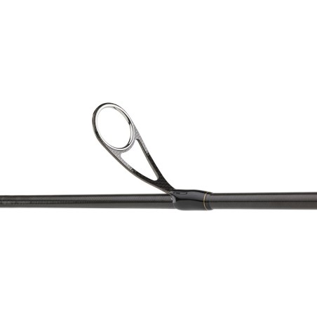 Daiwa Morethan Branzino Expert AGS