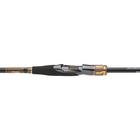 Daiwa Morethan Branzino Expert AGS