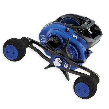 Carrete Daiwa Coastal TWS 200