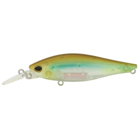 See Through Shad