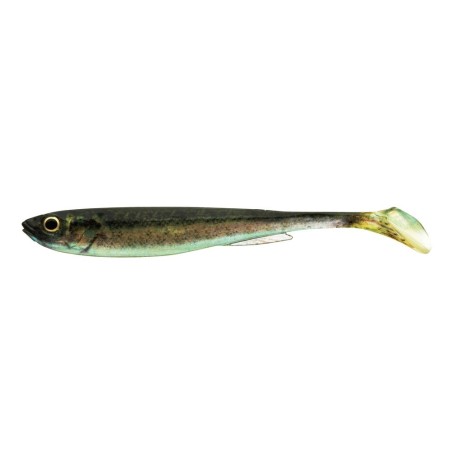 Bebé Zander