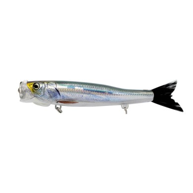 03 KATAKUCHI