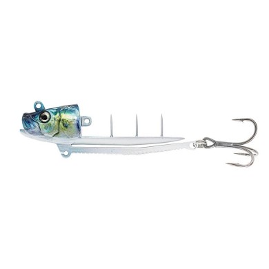 30 - 105g - 01 REAL IWASHI