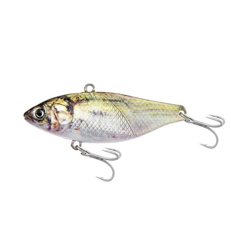 38g - 05 AJI REAL