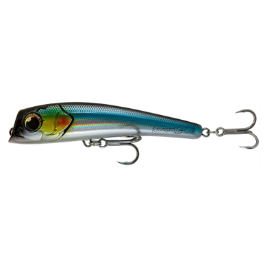 BLACK ANCHOVY