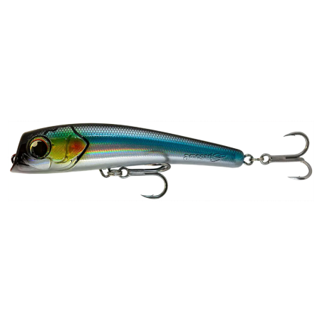 BLACK ANCHOVY