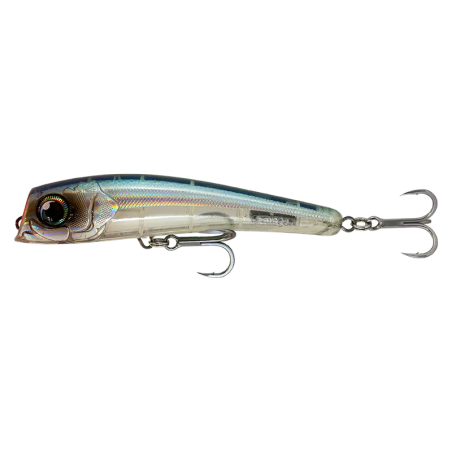 GHOST ANCHOVY