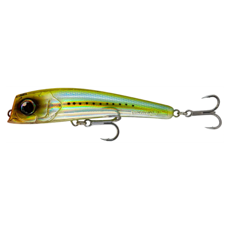Sardine