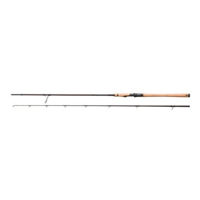 2.59m - 60-100g - Moderate Fast - 2 Sections