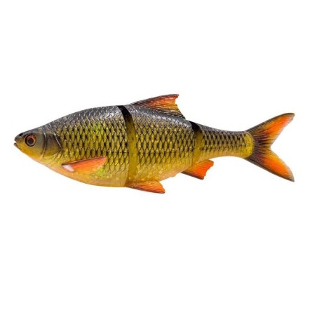 CLEAR RUDD
