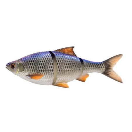 BLUE ROACH