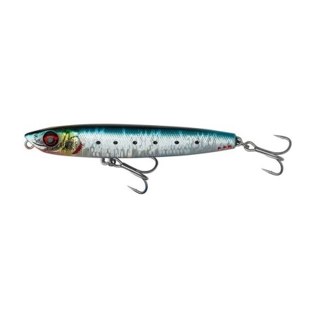 Sardine