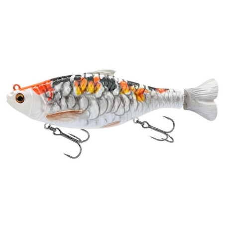 KOI CARP