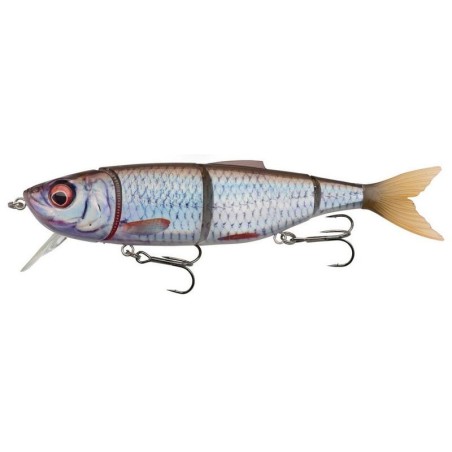 Roach