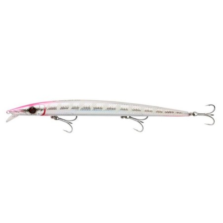 Phantom Barracuda