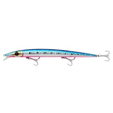 Pinkbelly Sardine